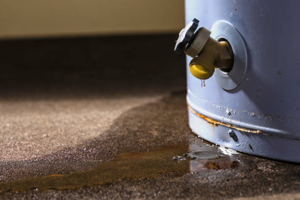 Best Water damage cleanup near me  in Clancy, MT