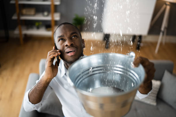 Best Water damage restoration experts  in Clancy, MT