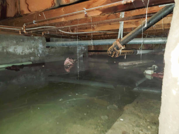 Reliable MT Water damage restoration Solutions