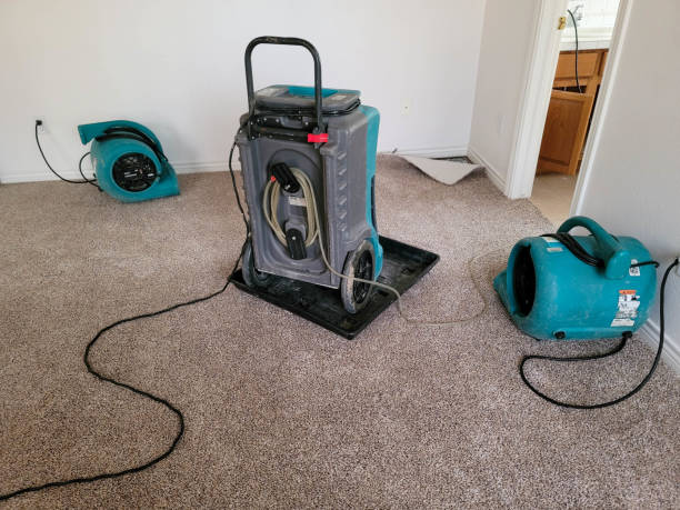 Best Flood damage cleanup  in Clancy, MT