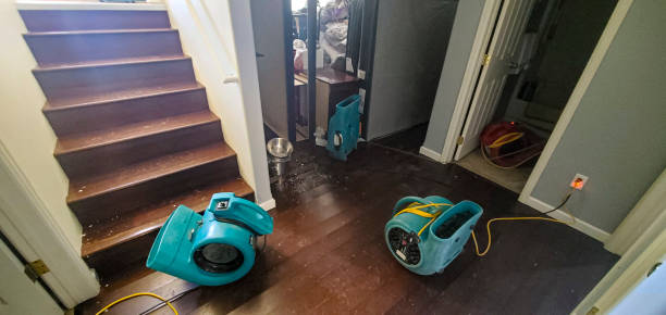 Professional Water damage restoration in MT