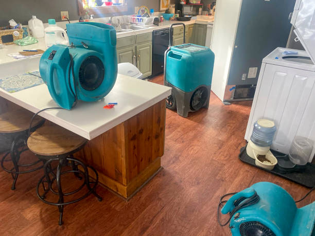 Water damage restoration insurance claims in MT