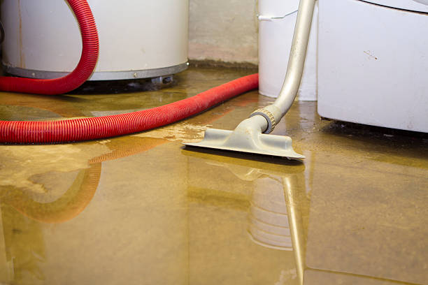 Water damage restoration process in MT