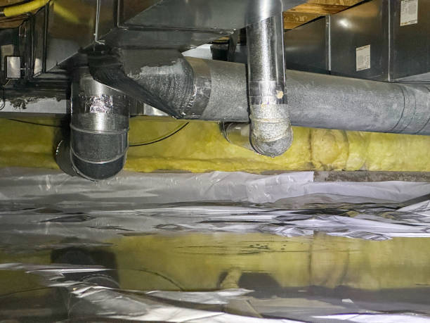 Best Professional water damage repair  in Clancy, MT