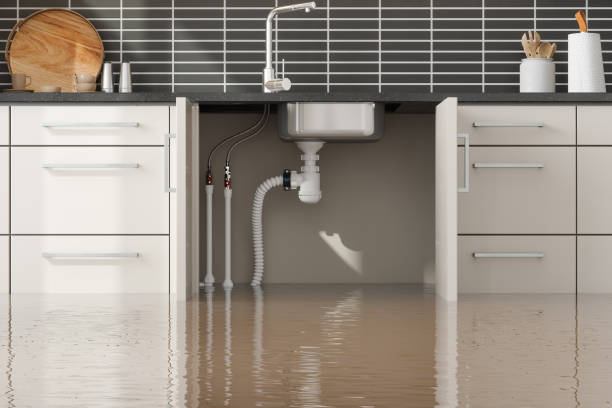 Best Local water damage restoration  in Clancy, MT