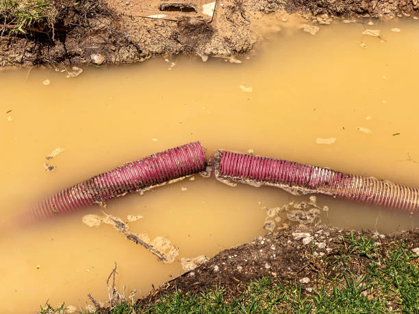 Best Water damage restoration near me  in Clancy, MT